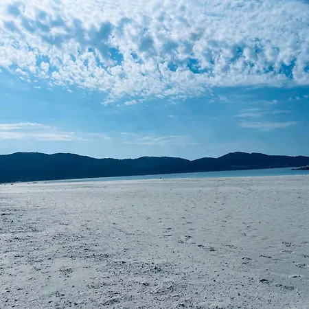 En Playa Con Vistas Al Mar